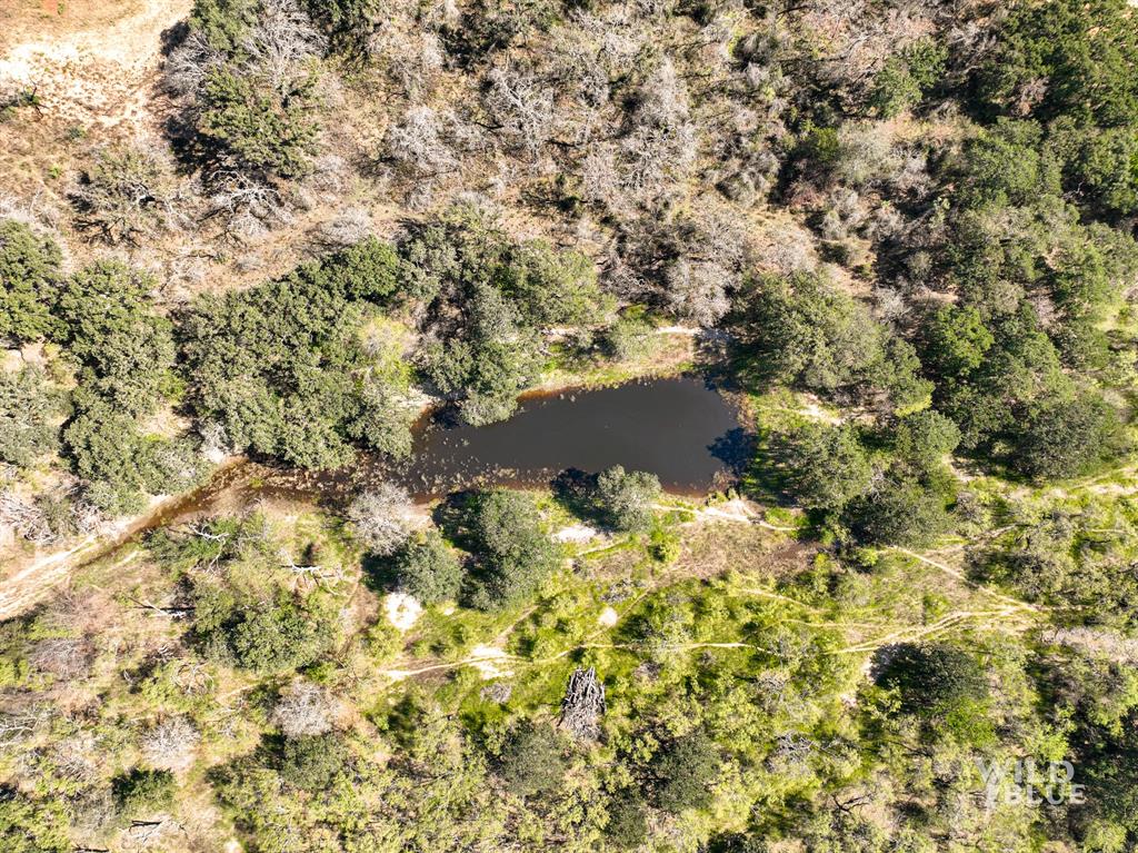 A Winfrey 548 - Farm