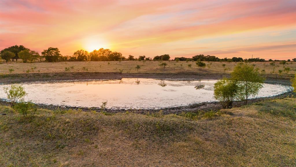 TOMAS DE LA VEGA - Land
