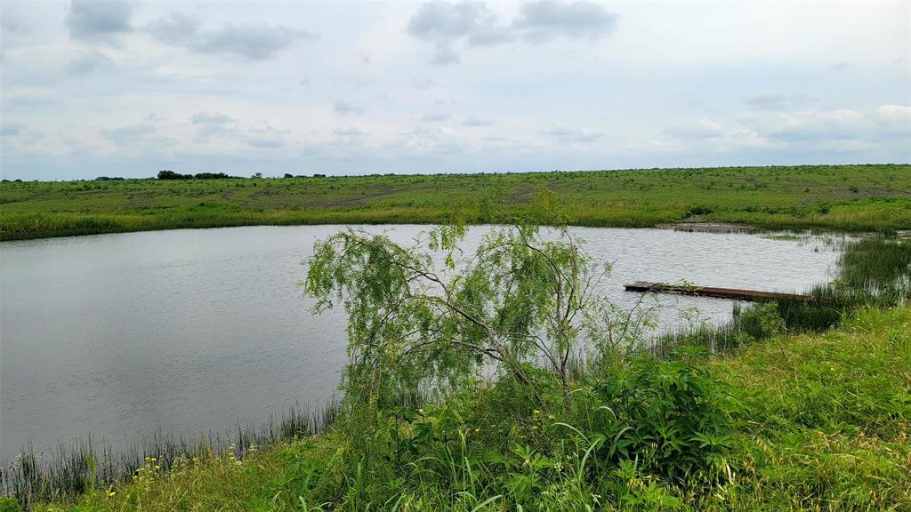 TOMAS DE LA VEGA - Land