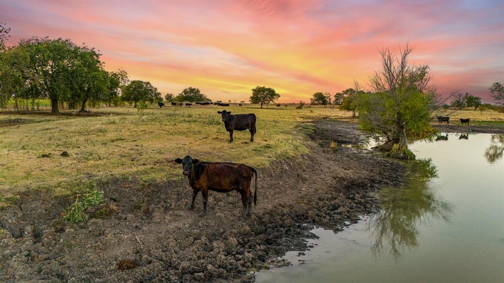 TOMAS DE LA VEGA - Land