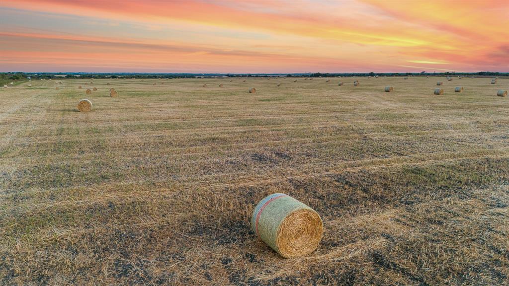 TOMAS DE LA VEGA - Land