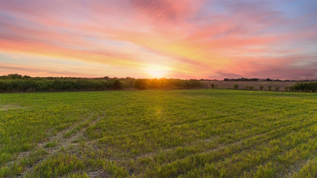 TOMAS DE LA VEGA - Land