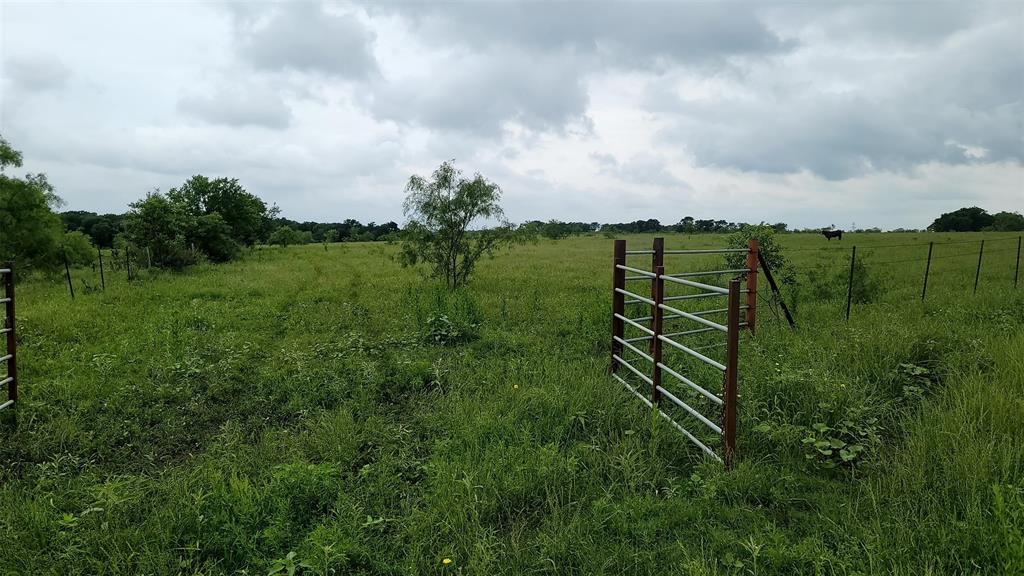 TOMAS DE LA VEGA - Land