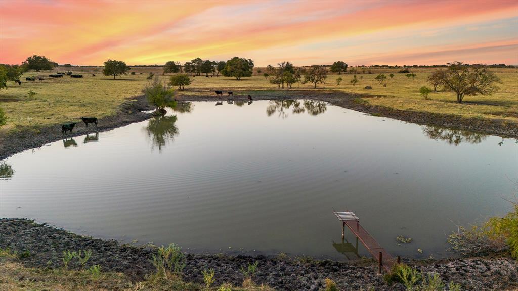 TOMAS DE LA VEGA - Land