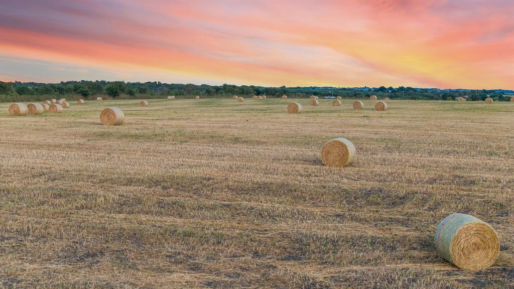 TOMAS DE LA VEGA - Land