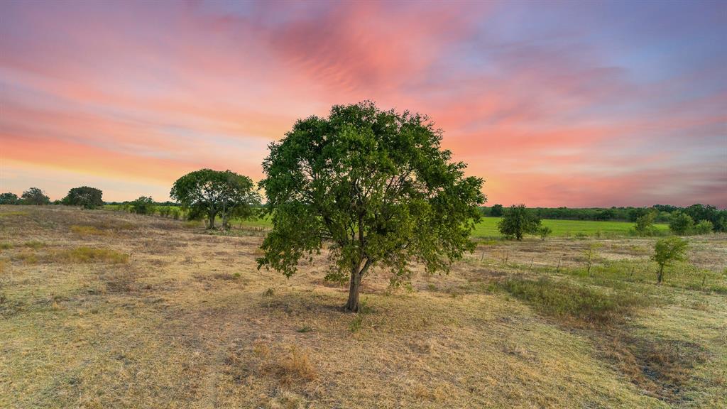 TOMAS DE LA VEGA - Land