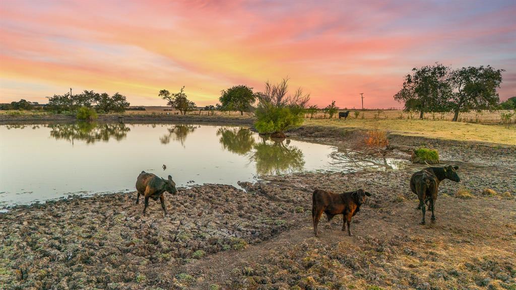 TOMAS DE LA VEGA - Land