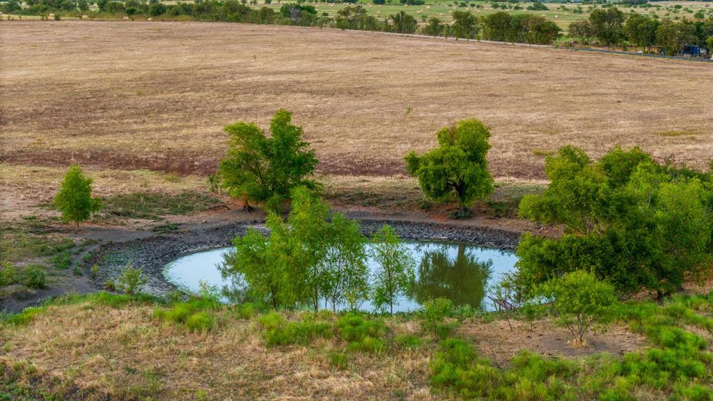 TOMAS DE LA VEGA - Land