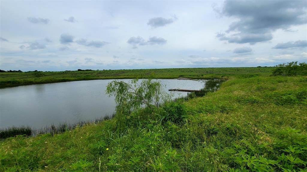 TOMAS DE LA VEGA - Land