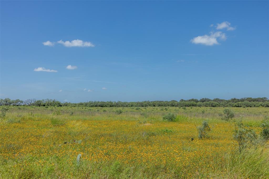 Fisher & Miller - Farm