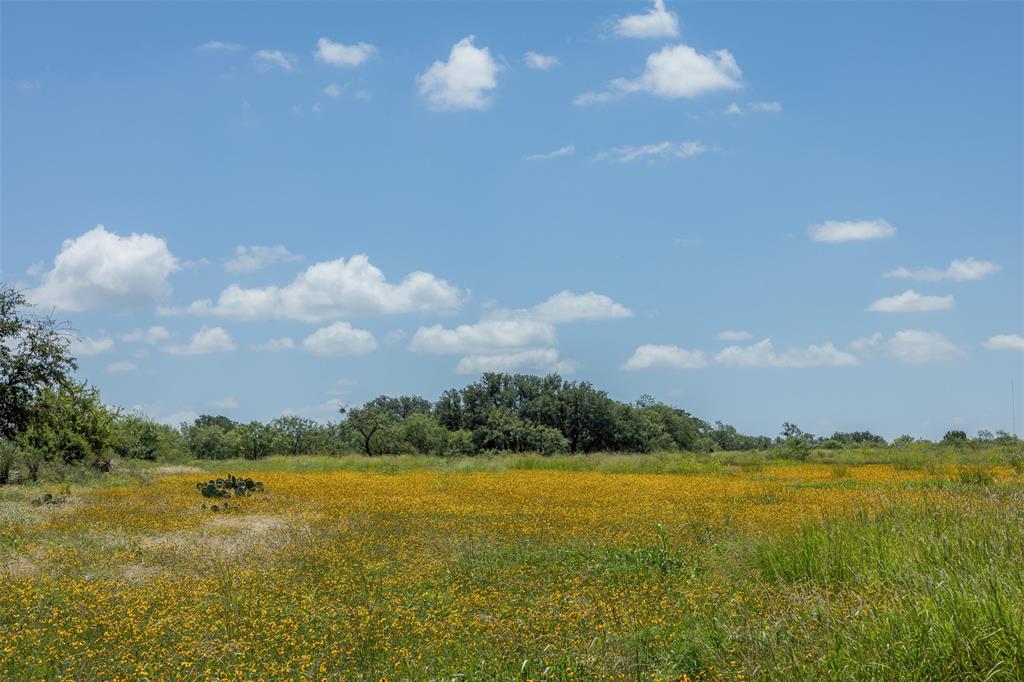 Fisher & Miller - Farm