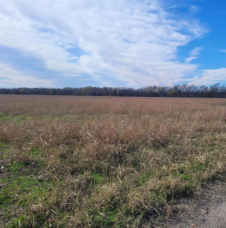 0138 L GARZA, TRACT 14, ACRES 39.721 - Land