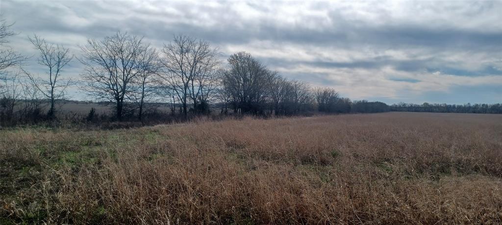 0138 L GARZA, TRACT 14, ACRES 39.721 - Land