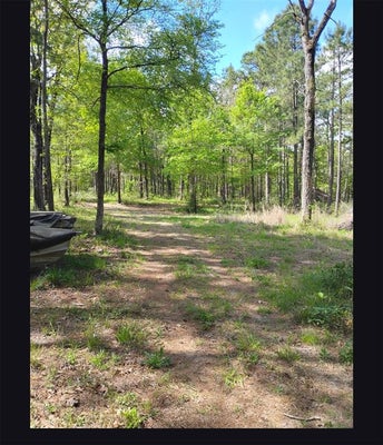 TBD STATE HWY 19, HUNTSVILLE, TX 77320 - Image 2b230dd024bf76a4b3df27a77fdb3099/2970902411