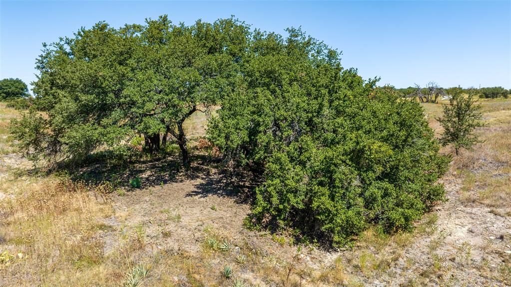 Legends of Buffalo Ridge - Land