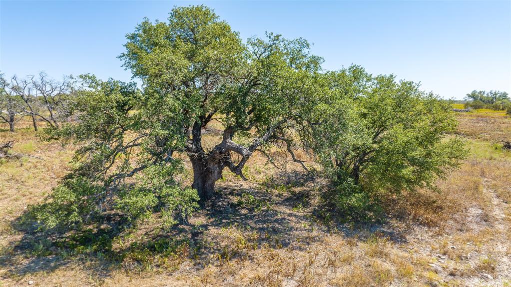 Legends of Buffalo Ridge - Land
