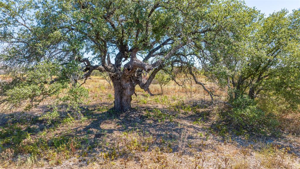 Legends of Buffalo Ridge - Land