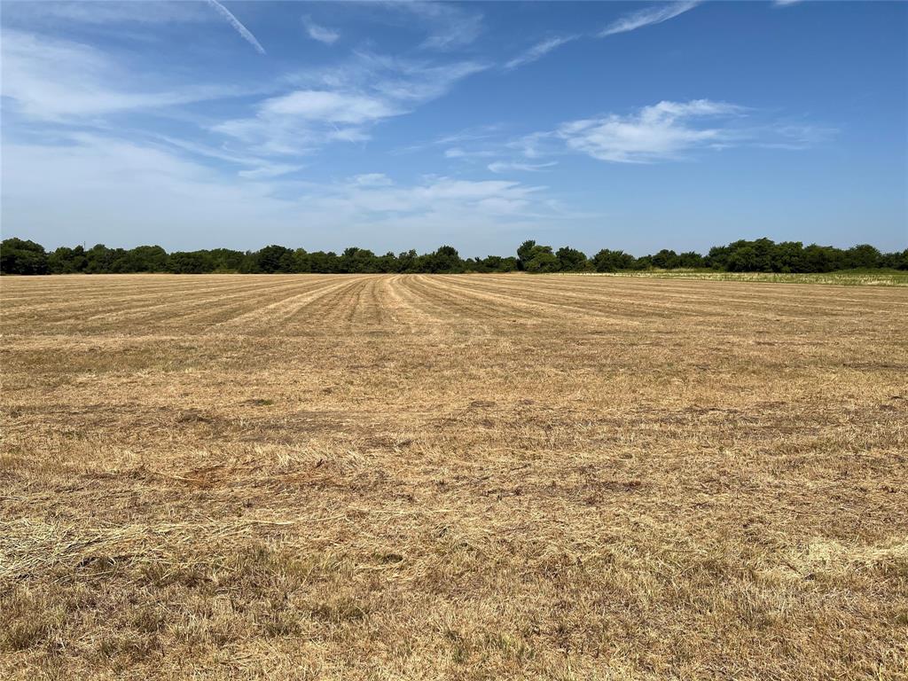 View Sadler, TX 76264 land
