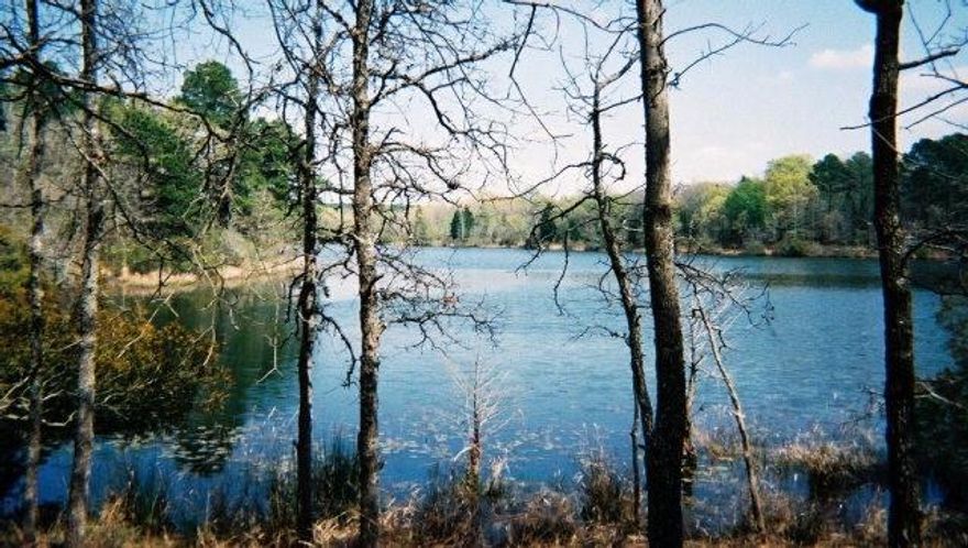 Incredible Waterfront Lot on 1+ - acre that slopes gently to the waters edge. Come build your waterfront home in this incredible one of a kind gated community in the heart of East Texas. 3 private lakes re known for Lunker Bass Fishing, RV parking, lots of concrete trail for jogging or ride around in your golf cart-ATV. Live among the majestic trees and all the exotic wildlife, deer, elk and zebra that roam free!