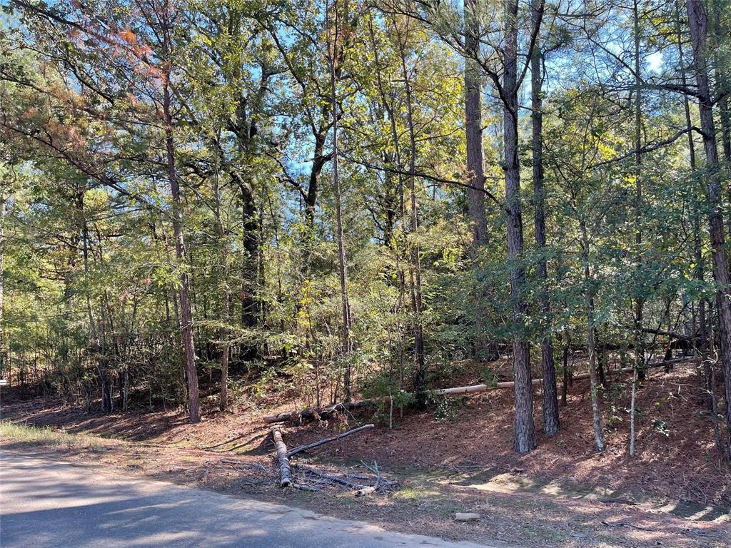 Country Oaks Estates - Land