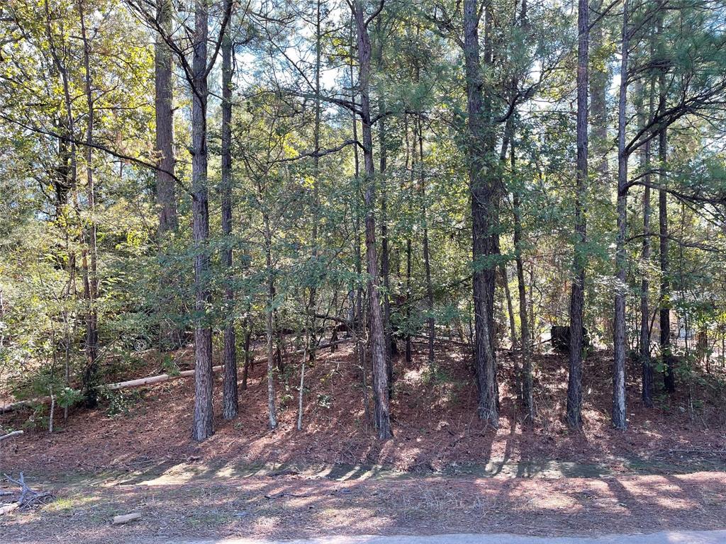 Country Oaks Estates - Land