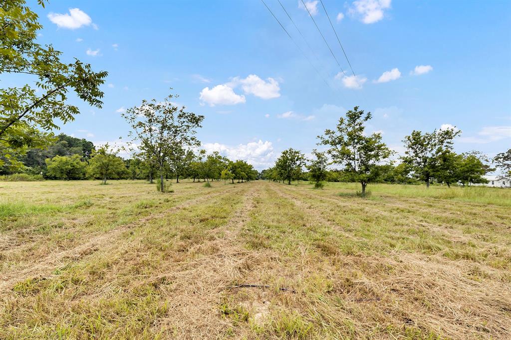 7397 FM-1803 Road