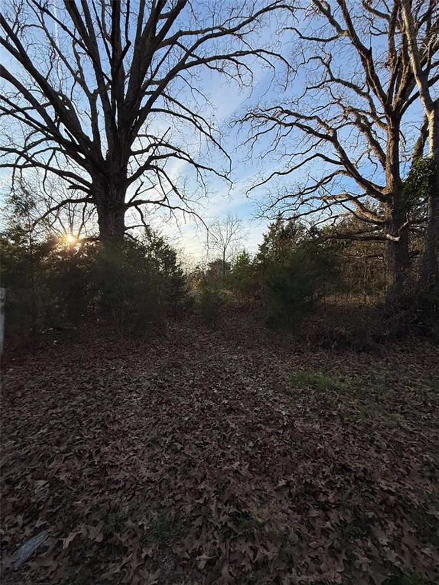 Discover endless possibilities with this stunning 3.24-acre property that beckons you to create your dream home or embark on various ventures. Nestled among charming woods at the front, this parcel features a delightful pond that seamlessly transitions into expansive open pasture at the rear three-fourths of the land. Whether you're envisioning a serene private sanctuary, a thriving agricultural endeavor, or a picturesque retreat, this property offers the ideal canvas to bring your aspirations to life. Embrace the tranquility of nature, enjoy the serene pond views, and let your imagination soar on this versatile piece of land.