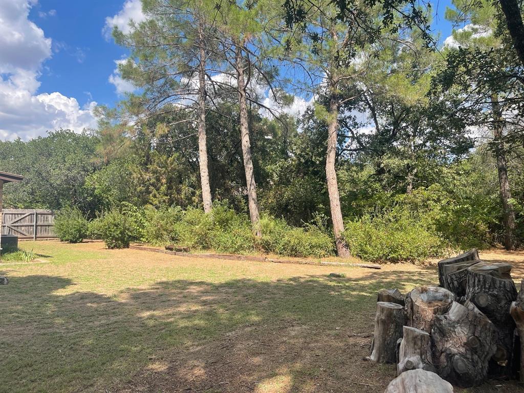 Shalimar Castle - Residential