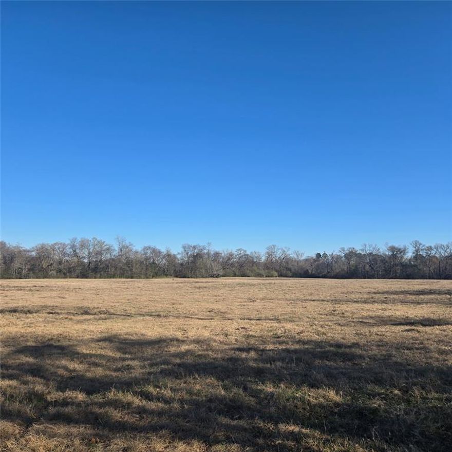THIS SENIC 276 ACRE PROPERTY CAN BE YOUR LITTLE PIECE OF EAST TEXAS. LOCATED IN THE SOUGHT-AFTER BULLARD SCHOOL DISTRICT JUST OFF OF STATE HWY 155 SOUTH OUTSIDE OF THE NOONDAY COMMINITY. SO MUCH TO OFFER IN THIS PROPERTY INCLUDING BREATH TAKING VIEWS, SEVERAL BUILDING SITES FOR YOUR DREAM HOME. SALINE CREEK RUNS THROUGH THE PROPERTY. SEVERAL DEPENDABLE ARTESIAN SPRINGS, APROXIMATLEY A ONE ACRE SPRING FED LAKE THAT NEVER LOSES LEVEL EVEN IN THE DRIEST PARTS OF THE YEAR. GREAT FOR A CATTLE OPPERATION WITH DEPENDABLE BOTTOM LAND FOR GRAZING. ABUNDENT WILDLIFE WITH GREAT HUNTING. ROAD FRONTAGE ON COUNTY ROAD 1100, 1106 AND 1107 THE BEST DUCK SLOUGH IN EAST TEXAS ACCORDING TO THE LOCAL GAME WARDEN. THE POSSIBILITIES ARE ENDLESS. MINERALS CONVEY, BUYER TO SATISFY PERCENTAGE.CALL TODAY FOR YOUR SHOWING