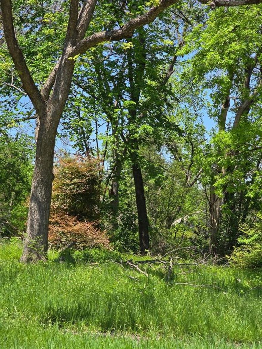 Build your vision in the heart of Corsicana with this .2-acre treed lot ideally situated in the downtown area. This property offers a great opportunity to develop within the city, surrounded by local shops, dining, and community amenities. Enjoy the charm of a residential setting while being just minutes from everything Corsicana has to offer. With easy access to Interstate 45, commuting to nearby cities is simple and convenient. Whether you're looking to build your dream home or invest in a growing area, this lot presents a fantastic opportunity.