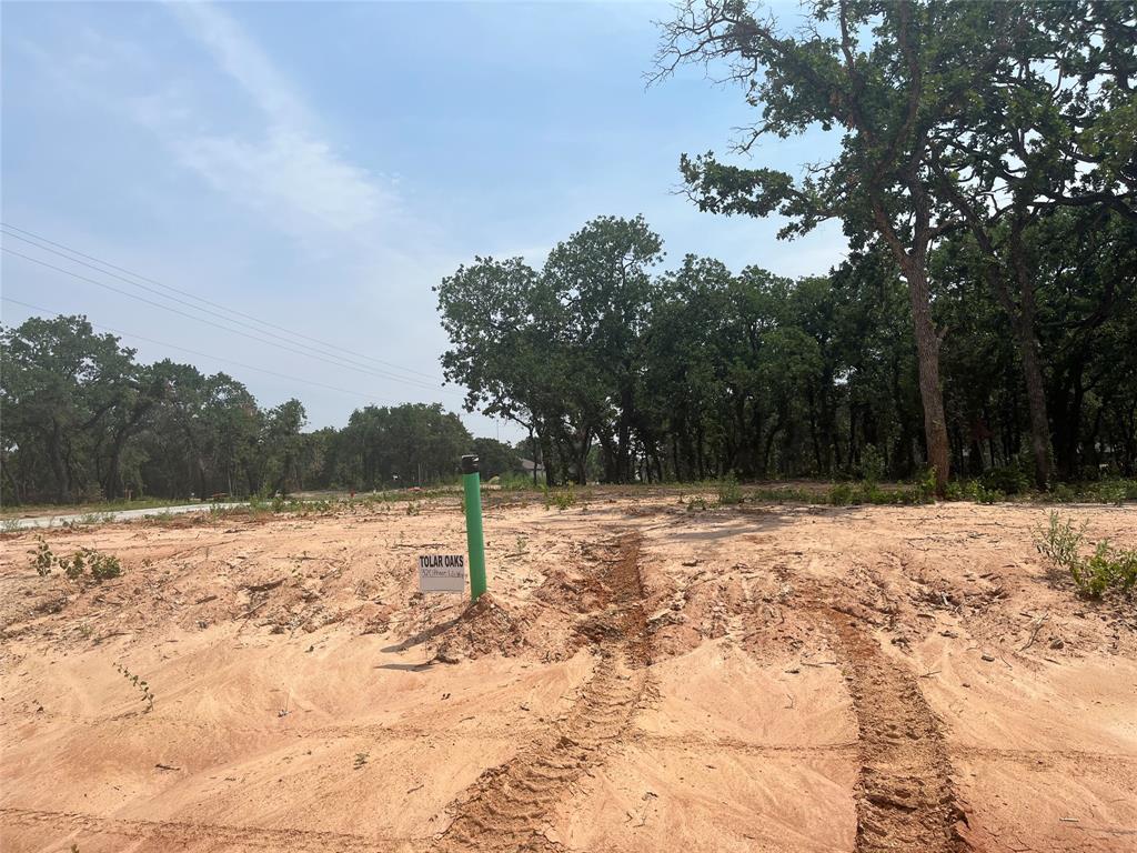 Tolar Oaks - Land