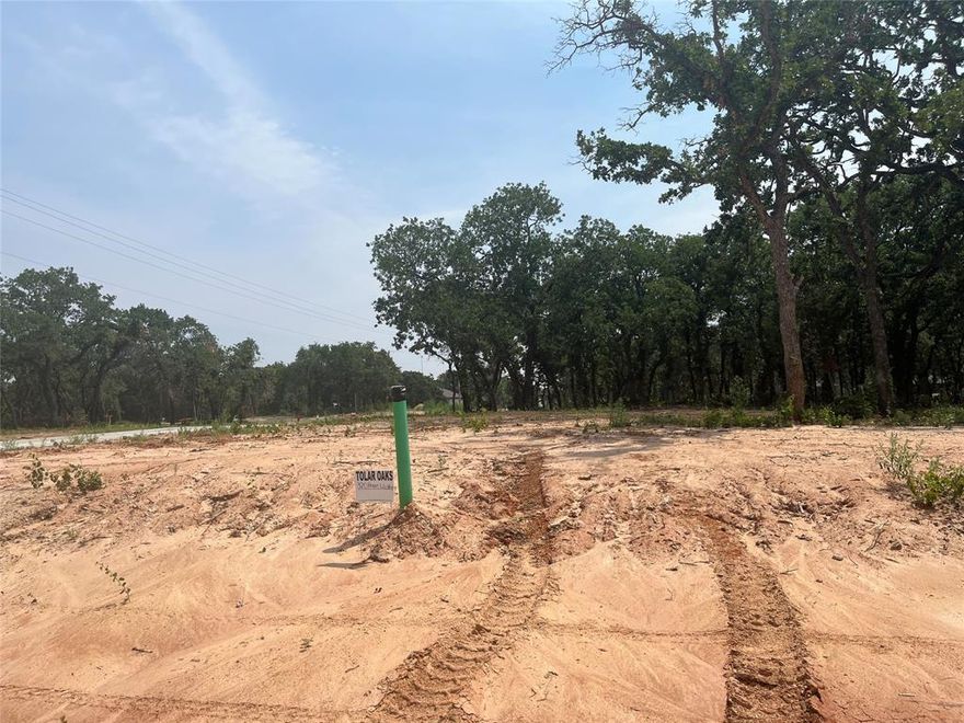 No HOA. Beautiful Treed Lots with Concrete streets and curbs. Underground utilities. City water and sewer. Tolar ISD.  Come see this great new community and choose your lot before they are all gone. If you do not have a builder we can provide one for you.