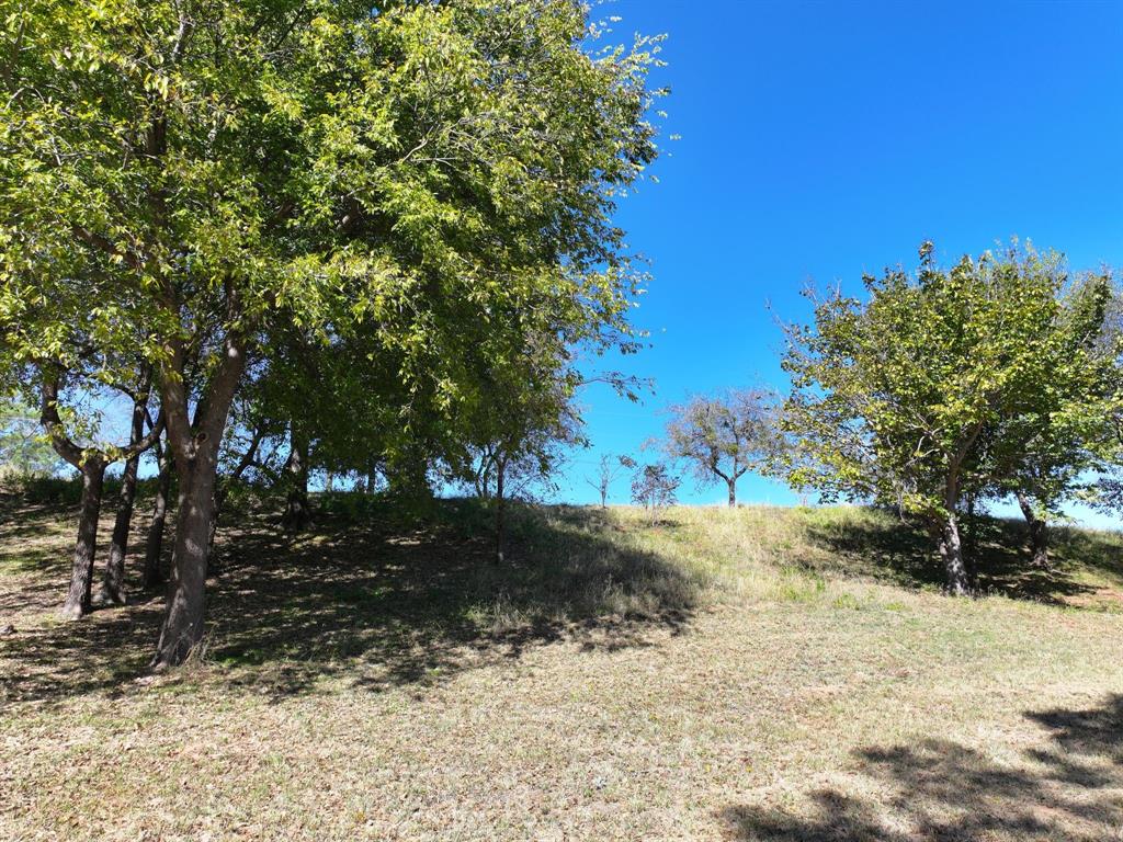 Mitchell Bend - Land