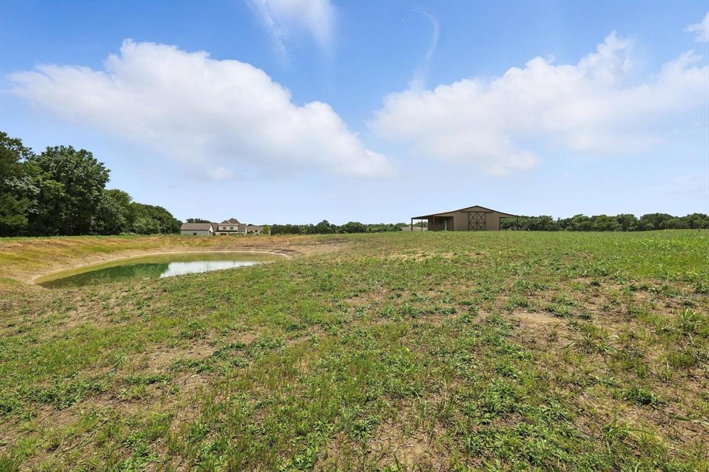 Ramon Rubio Surv Abs #997 - Land