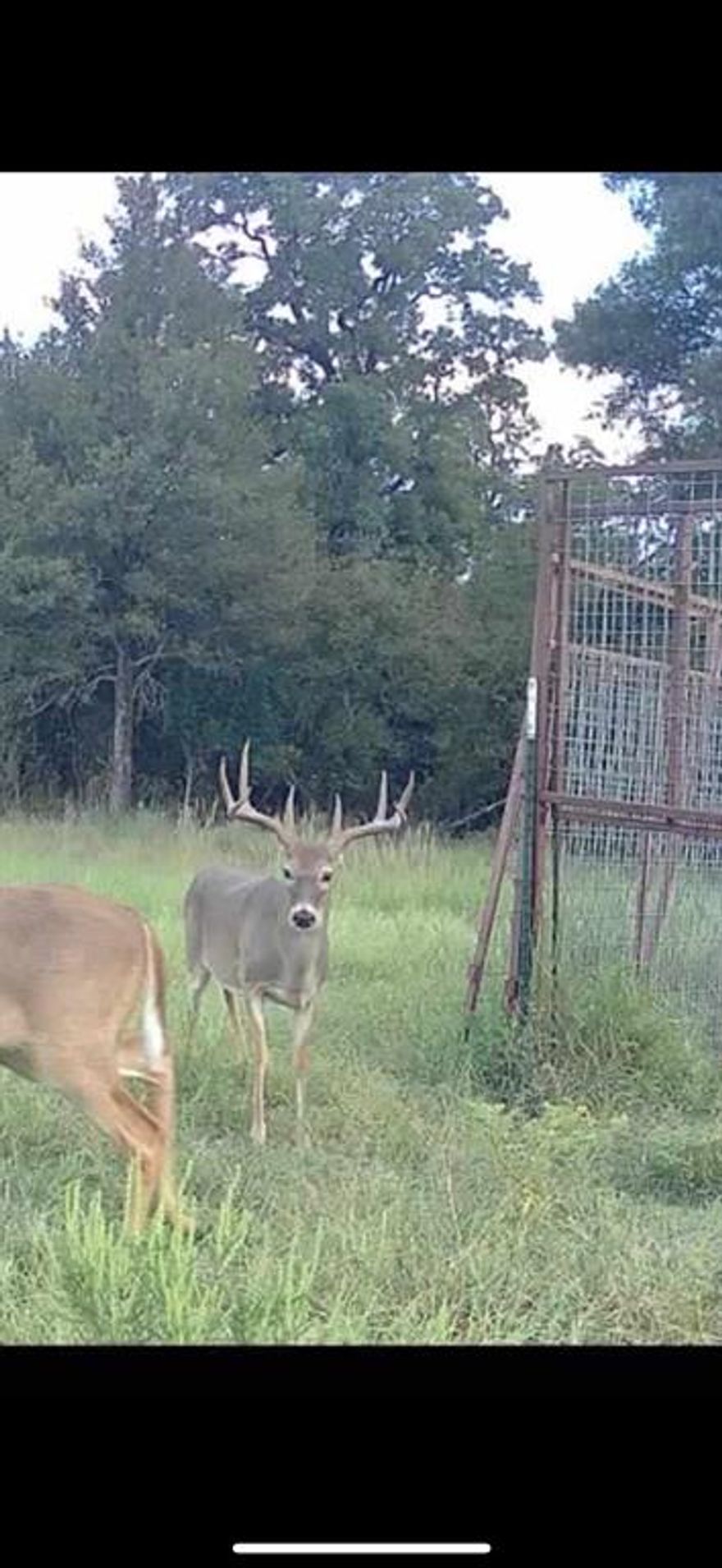 • 10 GPM, fresh Well Water.• Electricity runs through the middle for the entire ranch, Put Home or Lodge any where.* 4 nice Ponds *New road system in place throughout ranch. Plus other ATV TRAILS.• 2 Creek Crossings • Hunters Camp has Electricity (Cabin, outdoor kitchen, RV Cover with porch) This is where the Water well is located.• 3 fields (Totaling 40+ acres of good bottom land) Cultivated fields.• Good Piped Cattle Pens with Chute.• North entrance is the main .• 50 Foot Soft Elevation change • Several beautiful places to add a lake, to property.• Plenty of Deer, Hogs, Turkey, Dove all the Varmints. *Front Fencing is Fair. Balance of Fence is Good. Over a mile of Lost Creek runs through the southern end of ranch.• • Cool Rock cropping’s- Around Creek  plus other ATV TRAILS.• •THIS RANCH IS UNDER A WILDLIFE EXEMPTION, WHICH WILL CONVEY !! RANCHES IN THIS AREA OF THIS SIZE ARE RARE AND HARD TO FIND. THIS IS A PRIME  EXCHANGE PROPERTY!!!