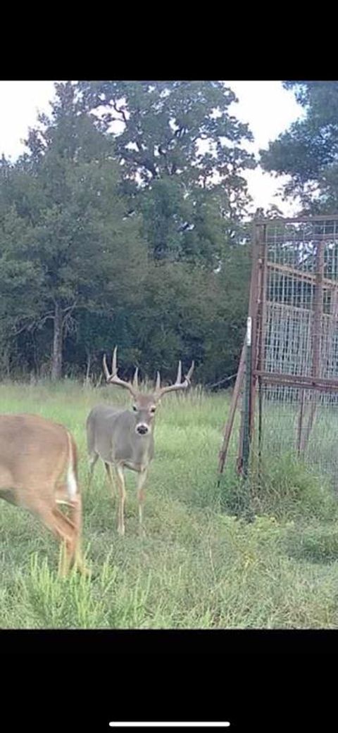 13215 County Road 136 Gordon TX 76453