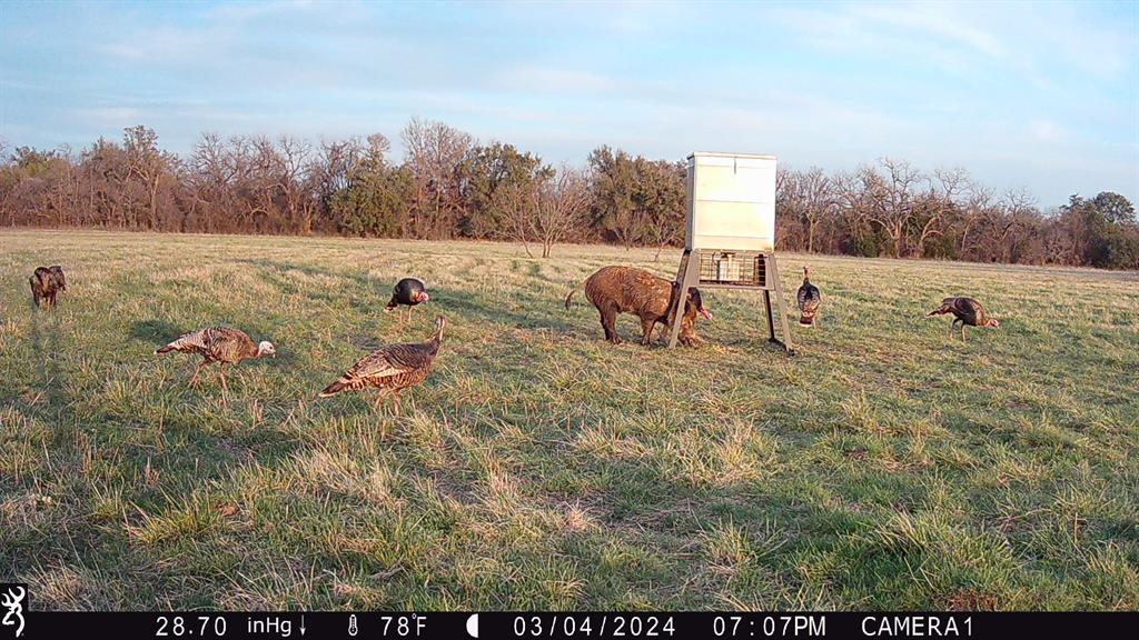 13215 County Road 136
