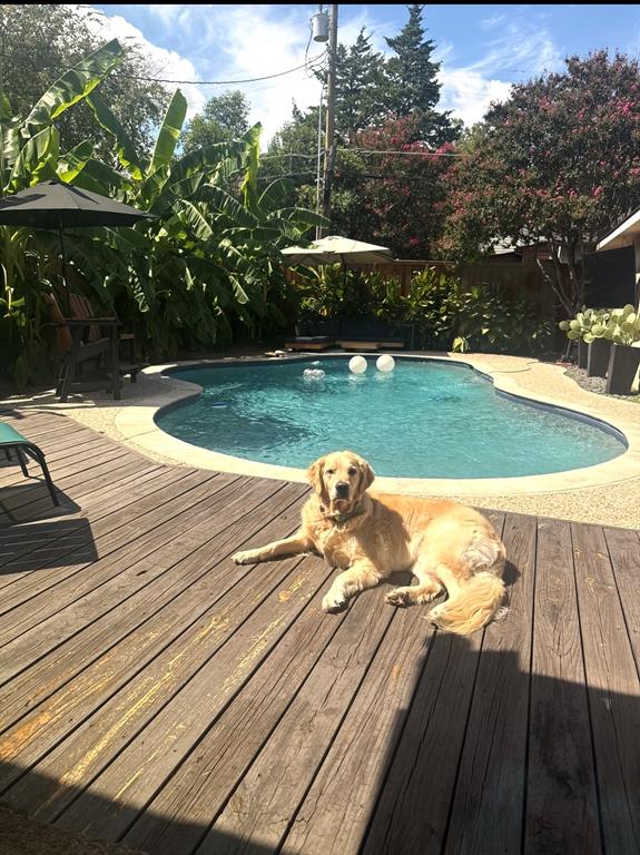 Wilshire Summit - Residential