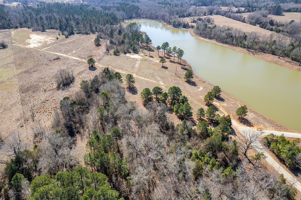 ABST A0737 E NEWBERRY - Land