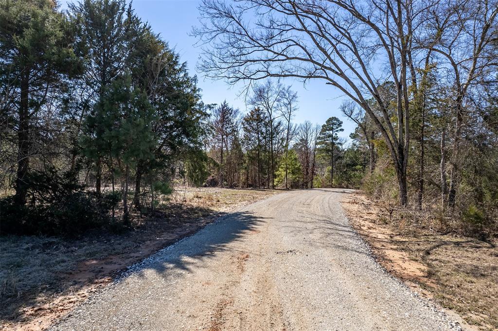 ABST A0737 E NEWBERRY - Land