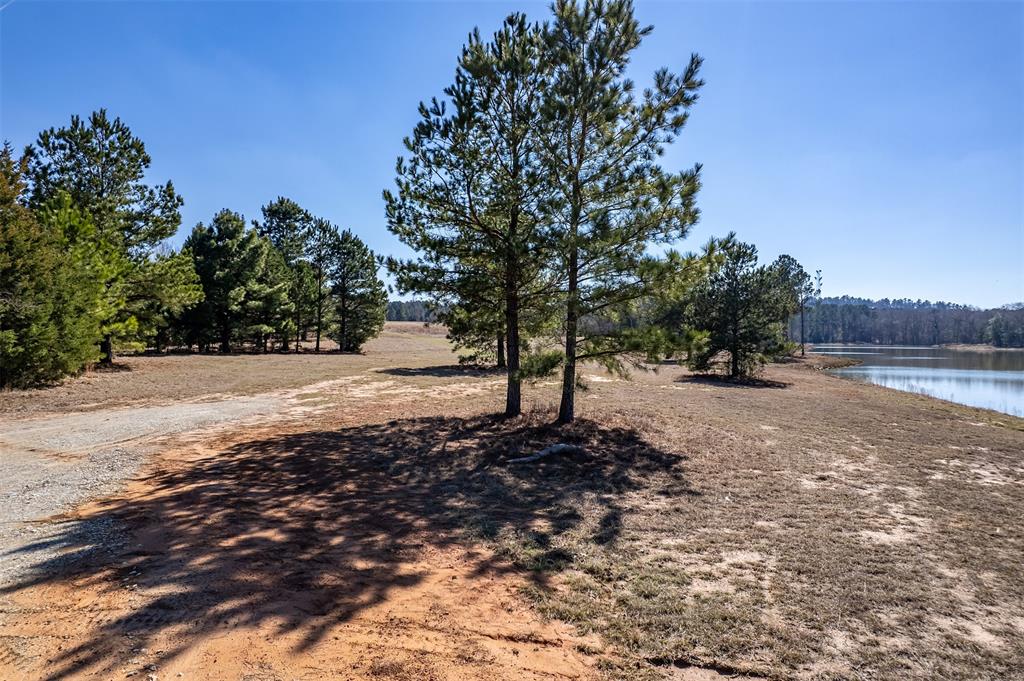 ABST A0737 E NEWBERRY - Land