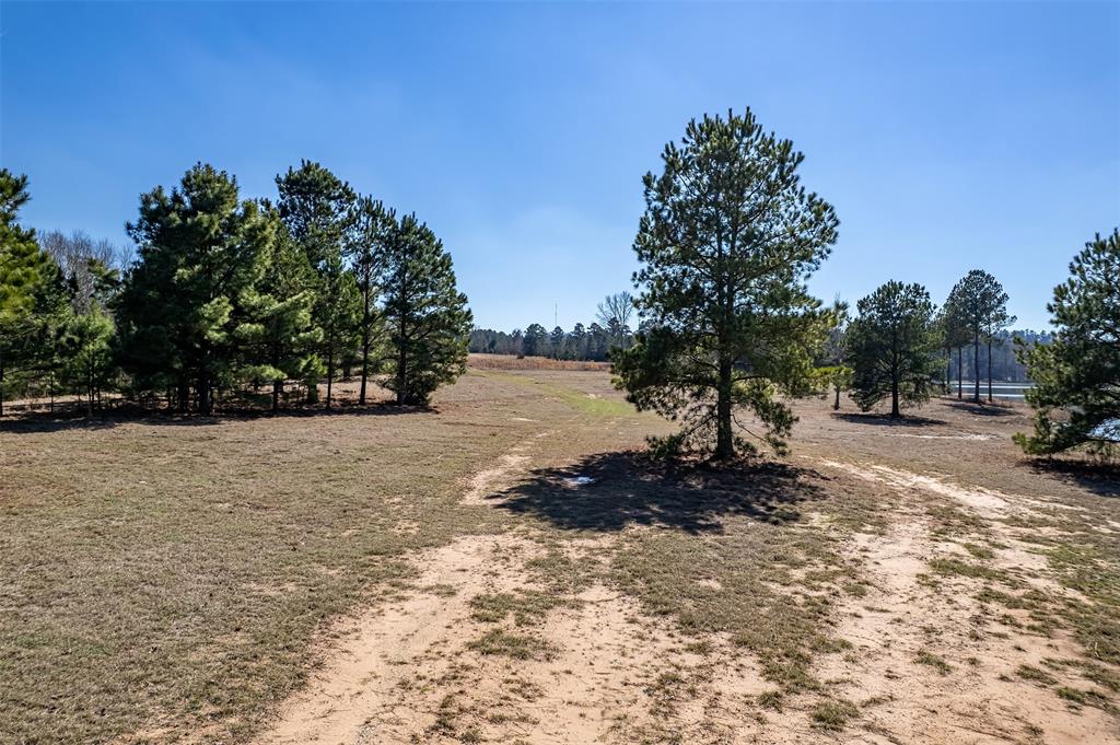 ABST A0737 E NEWBERRY - Land