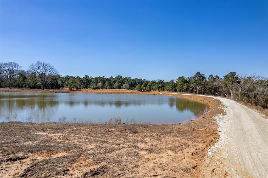 ABST A0737 E NEWBERRY - Land