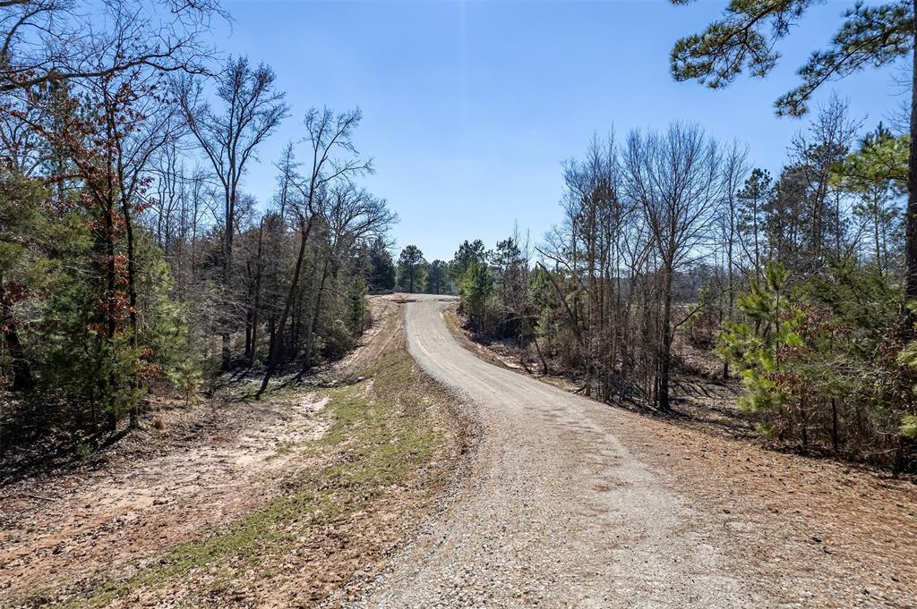 ABST A0737 E NEWBERRY - Land