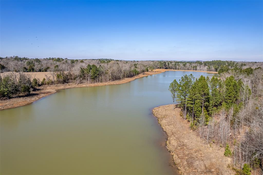 ABST A0737 E NEWBERRY - Land