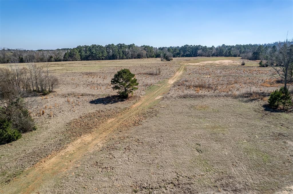 ABST A0737 E NEWBERRY - Land