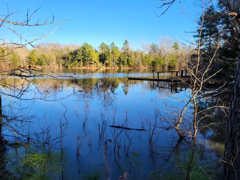 20420 County Road 444 Road