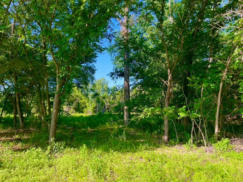 Lot 51 Wicklow Ct