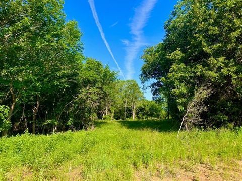 Lot 51 Wicklow Ct Poolville TX 76487