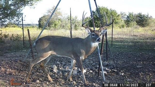 2401 COUNTY ROAD 382, CARLTON, TX 76436 - Image 2bea31e0ea1052cd7f064d1b63ec5d84/3926160613